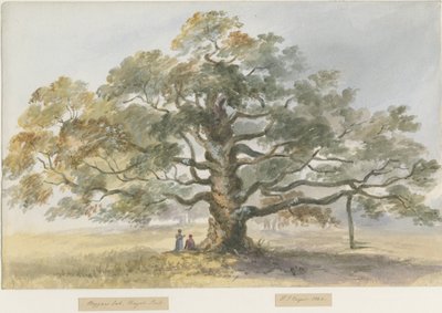 ब्लिथफ़ील्ड - भिखारी ओक: वाटर कलर पेंटिंग, 1844 द्वारा हेनरी जेम्स नॉयस