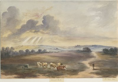 कैनक चेज़ - "हीथ": वाटर कलर पेंटिंग, 1844 द्वारा हेनरी जेम्स नॉयस