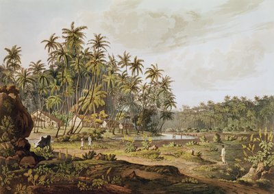 1809 में प्रकाशित डैनियल हैवेल (1785-1826) द्वारा उकेरी गई प्वाइंट डु गाले, सीलोन के पास का दृश्य द्वारा हेनरी साल्ट