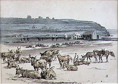गोल्फ कोर्स पर गधे, 'ग्राफिक' पत्रिका, पब से चित्रण। c.1870 (लिथो) द्वारा हेनरी सैंडरिकॉक