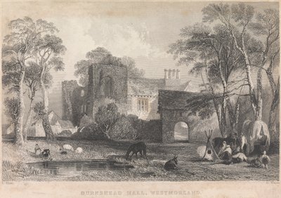  द्वारा हेनरी वालिस