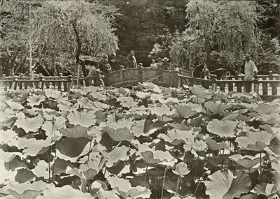 ए लोटस पॉन्ड, 1910। द्वारा हर्बर्ट पोंटिंग