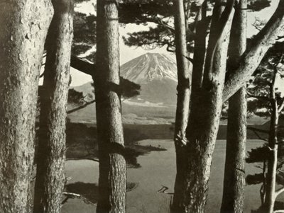 फ़ूजी और पाइन के पेड़, 1910। द्वारा हर्बर्ट पोंटिंग
