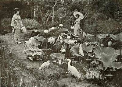 लोटस-लैंड, 1910 में। द्वारा हर्बर्ट पोंटिंग