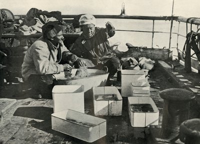 लिली और डॉ। लेविक सॉर्टिंग ए ट्रॉल कैच, c19101913, 1913 द्वारा हर्बर्ट पोंटिंग