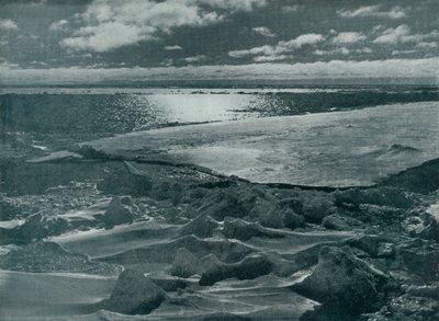 पैक में चांदनी, c19101913, 1913 द्वारा हर्बर्ट पोंटिंग