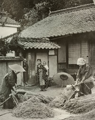 किसान महिला हेडिंग जौ, 1910। द्वारा हर्बर्ट पोंटिंग