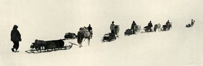 मार्च, 1911, 1913 को पोंजी द्वारा हर्बर्ट पोंटिंग