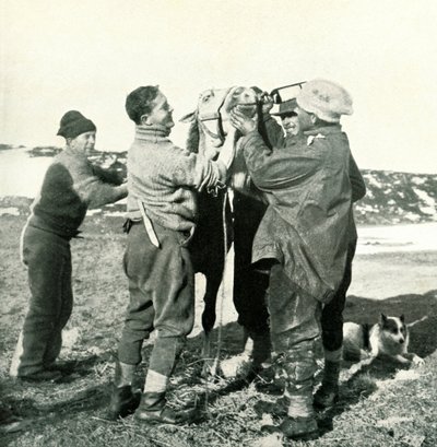 पोनी टिक्की व्हिस्की, 8 फरवरी, 1911, 1913 द्वारा हर्बर्ट पोंटिंग