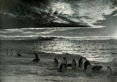 McMurdo साउंड में द मिडनाइट सन, c19101913, 1913 द्वारा हर्बर्ट पोंटिंग
