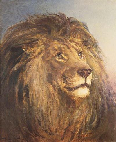 एक शेर का सिर द्वारा Heywood Hardy