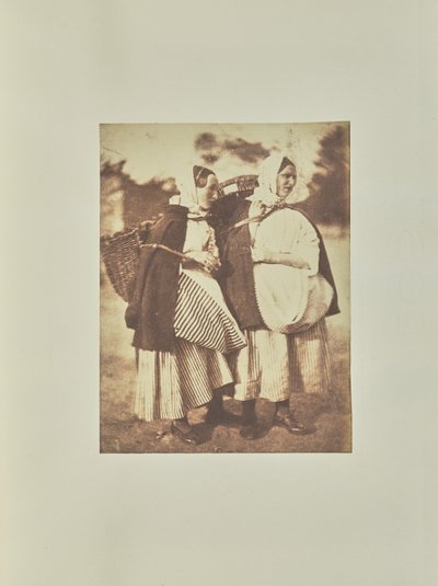  द्वारा हिल और एडमसन