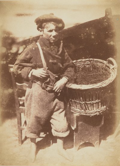  द्वारा हिल और एडमसन