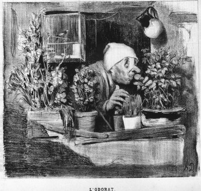 ओराट: होनोर ड्यूमियर (1808-1879) द्वारा "" सिंक सेंस "" से ली गई श्रृंखला। "" चारिवारी " द्वारा होनोरे ड्यूमियर