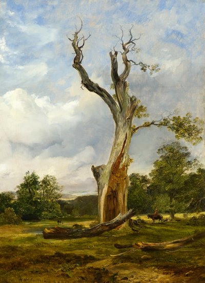 ब्लास्ट ट्री, c.1838 (कैनवास पर तेल) द्वारा होरेशियो मैककुलोच