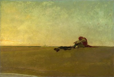  द्वारा Howard Pyle