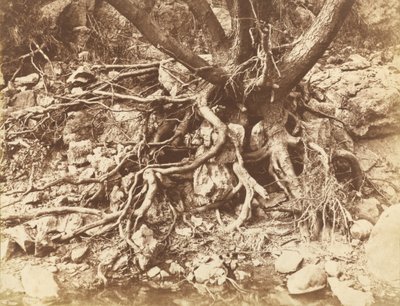  द्वारा ह्यूग ओवेन