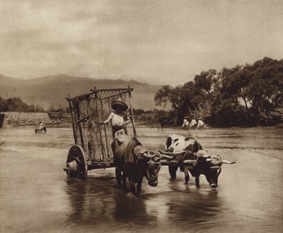  द्वारा ह्यूगो ब्रेहमे