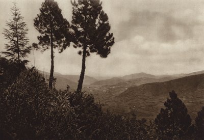  द्वारा ह्यूगो ब्रेहमे