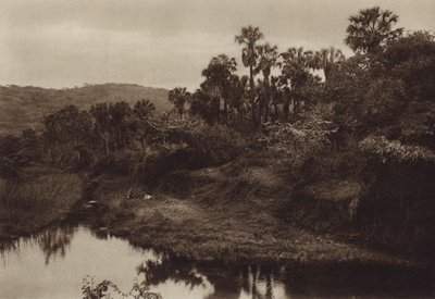  द्वारा ह्यूगो ब्रेहमे