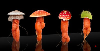 पहनने के लिए तैयार द्वारा ह्यूगो नेफे