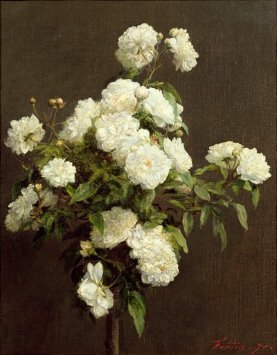 सफेद गुलाब, 1870 द्वारा Ignace Henri Jean Fantin Latour