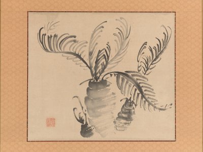 Cycad, 18 वीं शताब्दी के मध्य में। द्वारा आइके कोई टैगा