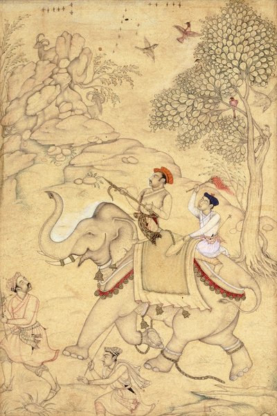 एक राजकुमार शिकार, एक हाथी पर चढ़कर, c.1600-1650 द्वारा इंडियन स्कूल