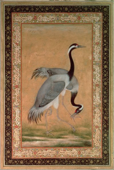  द्वारा इंडियन स्कूल