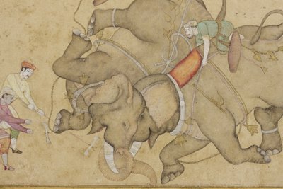 बॉर्डर फ्लोरल अरेबिक, c.1610 (पेपर पर अपारदर्शी wc और सोना) के साथ एक हाथी की लड़ाई का विस्तार द्वारा इंडियन स्कूल