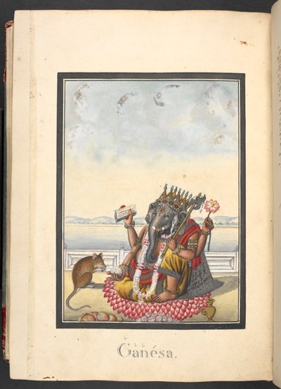  द्वारा इंडियन स्कूल