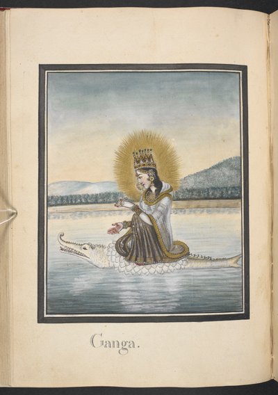  द्वारा इंडियन स्कूल