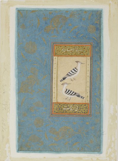 घेरा, c.1590 (कागज पर अपारदर्शी wc और सोना) द्वारा इंडियन स्कूल