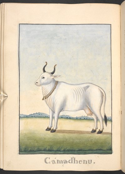 द्वारा इंडियन स्कूल