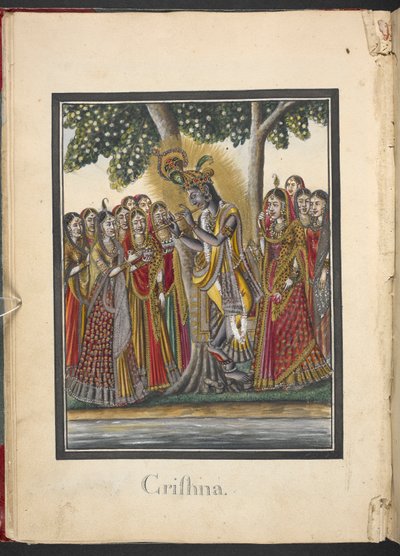  द्वारा इंडियन स्कूल