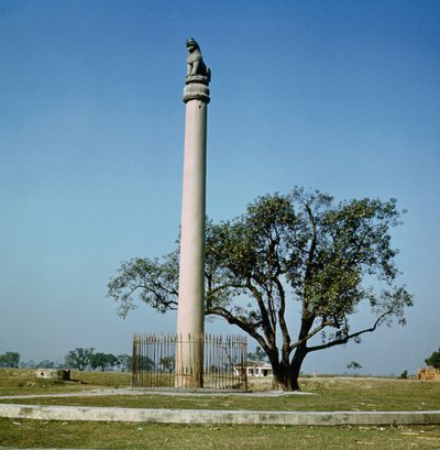 सम्राट अशोक का सिंह स्तंभ (c.264-223 ईसा पूर्व) द्वारा इंडियन स्कूल