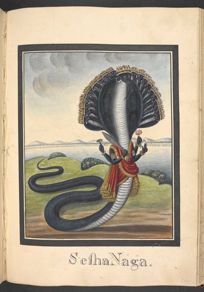  द्वारा इंडियन स्कूल