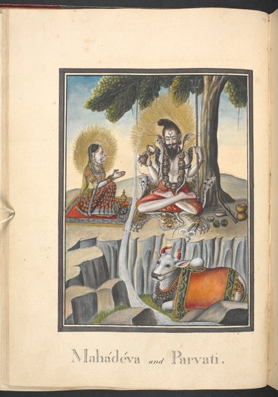  द्वारा इंडियन स्कूल