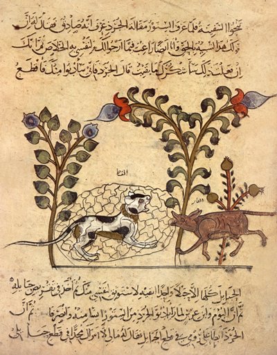  द्वारा इंडियन स्कूल