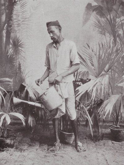  द्वारा भारतीय फोटोग्राफर