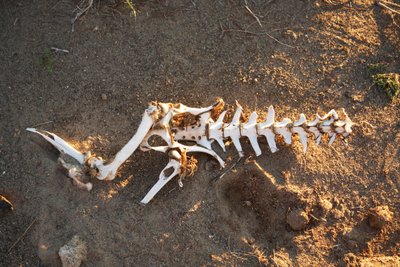  द्वारा इरा ब्लॉक