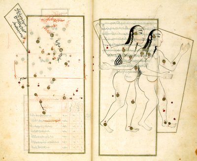 अल-सूफी द्वारा निर्धारित सितारों की पुस्तक से नक्षत्र मिथुन द्वारा ईरानी गुरु