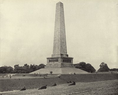 वेलिंगटन प्रशंसापत्र, फीनिक्स पार्क (बी / डब्ल्यू फोटो) द्वारा आयरिश फोटोग्राफर