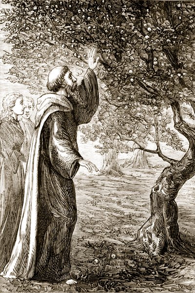 सेंट कोलंबा ने मैरी क्यूसैक (1829-99) द्वारा प्रकाशित त्र.1 थमातुर्गुर्ग, या आयरलैंड के तीन वंडर-वर्किंग सेंट्स से कड़वे फल को मीठे में बदल दिया। द्वारा आयरिश स्कूल