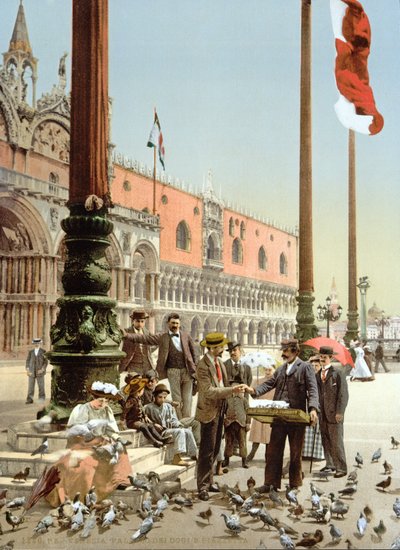सेंट मार्क्स स्क्वायर, वेनिस में कबूतरों को खाना देना, c.1900 द्वारा इतालवी फोटोग्राफर