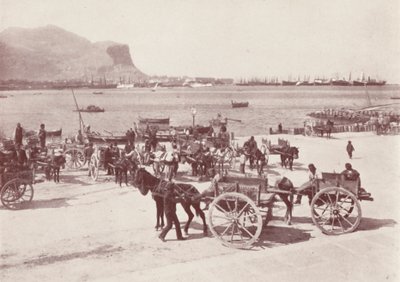  द्वारा इतालवी फोटोग्राफर