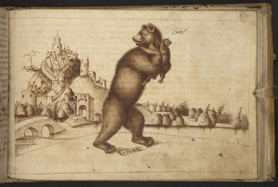 Add. 82955, f.199 भालू (#39;उर्सस#39;), एक को एक आदमी द्वारा चाकू मारा जा रहा है, एक शावकों को ले जा रहा है। , हिस्टोरिया एनीमलियम से, (पशुओं और पौराणिक प्राणियों की विभिन्न प्रजातियों के 245 कलम और स्याही से बनाए गए चित्रों से मिलकर, प्रत्येक के साथ एक वि द्वारा इतालवी स्कूल