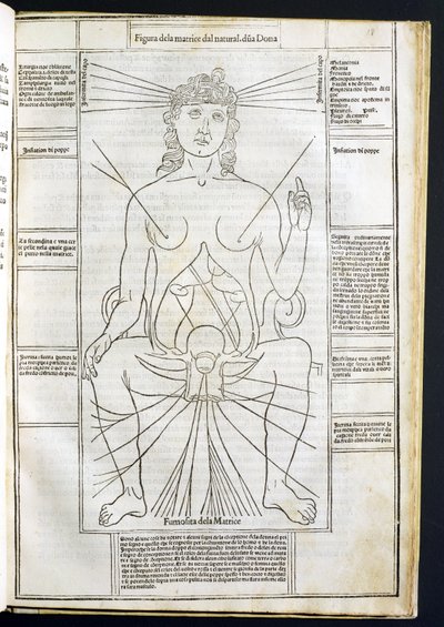जोहानस डी केथम (Fc1490) द्वारा fasciculus Medicinae से महिला शारीरिक रचना c.1507 द्वारा इतालवी स्कूल