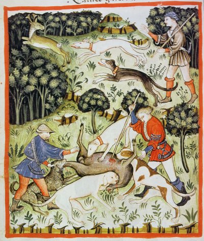 Fol.71v शिकार गज़ेल, टाकुइनम सैंटियाटिस कोडेक्स विंडोबोनेंसिस से चित्रण द्वारा इतालवी स्कूल