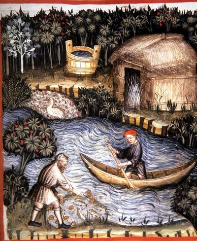 Fol.82r ताजा मछली, 'टैकुइनम सैंटियाटिस कोडेक्स विंडोबोनेंसिस' (वेल्लम) से चित्रण द्वारा इतालवी स्कूल